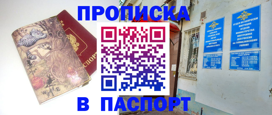 пропишу в квартире в Псковской области